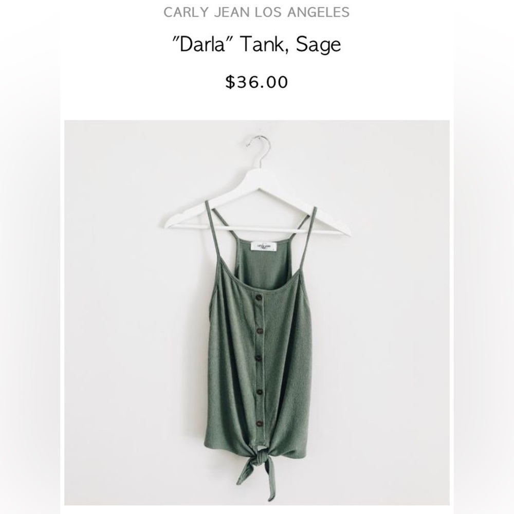 Carly Jean Los Angeles Sage Camisole